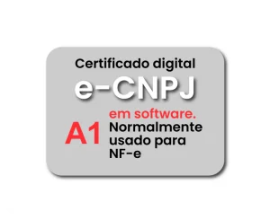 e-CNPJ A1