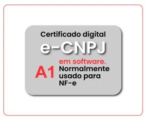 e-CNPJ A1 MEI