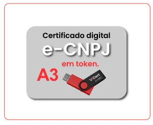 e-CNPJ A3 em Token